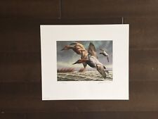 Maryland Duck Color Print-Signed by David Maass-1982 picture