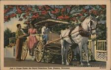 Bahamas 1956 Nassau Just a Pause Under the Royal Poinciana Tree Teich Postcard picture