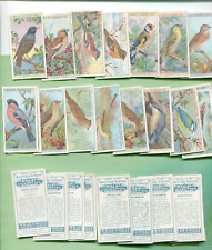 1915 W.D. & H.O. WILLS CIGARETTES BRITISH BIRDS 50 DIFFERENT TOBACCO CARD SET picture
