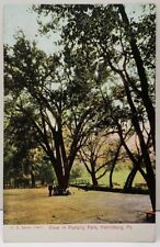Harrisburg Pennsylvania View in Paxtang Park Vintage  Postcard E5 picture
