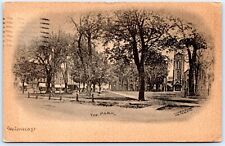 Postcard NY Westfield New York The Park Lamb & Cowan Druggists UDB P7I picture