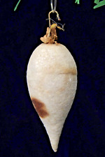 Antique VTG Spun Cotton White Glittered CARROT Drop Christmas Ornament Germany picture