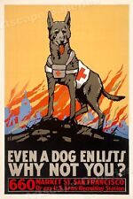 1915 Even A Dog Enlists Vintage Style WW1 Poster - 16x24 picture