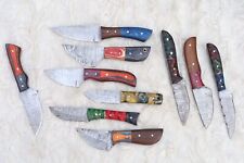 LOT OF 10 PCS HANDMADE DAMASCUS STEEL BLADE MIX SKINNER  HUNTING KNIFE # H-26 picture
