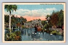 Tampa FL-Florida, Florida Tropical Foliage, Antique Vintage Souvenir Postcard picture