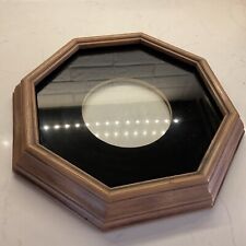 Vintage Bard's Frame 8 to 9in Plate Display Case Black Velvet Backing Plastic picture