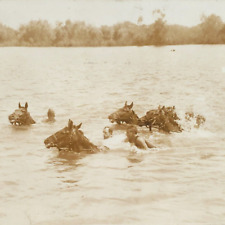 Wisconsin Horses Crossing River RPPC Postcard c1910 Men Swimming Real Photo B987 picture