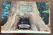 Vintage Postcard GIANT DRIVE-THRU REDWOOD w/CAR, Chandelier Tree,California, UNP picture