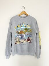 Disney World Parks DISCOVER THE MAGIC Gray Pullover Sweatshirt Small Disneyland picture