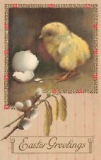 c1909 Hatched Chick Shell Egg Easter P284 picture