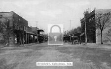Broadway Street View Sylacauga Alabama AL Reprint Postcard picture