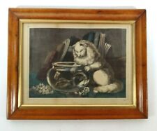 Antique cat prints, Original pair date c1880 original maple frames very rare  picture