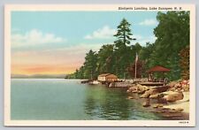 Lake Sunapee New Hampshire, Blodgetts Landing, Vintage Postcard picture