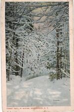 Adirondacks NY Trail in Winter 1924 picture
