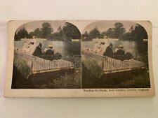 c.1900 Feeding The Ducks Kew Gardens London England Stereoview Card picture
