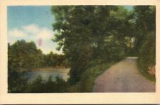 Vintage Postcard Nature Landscape picture