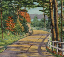 Vintage Linen Postcard Old Dirt Mountain Road Forest Trees White Picket Fence picture