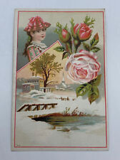 c1880s-90s Victorian Lady , Roses , Winter Moorestown New Jersey picture