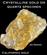Genuine Raw Natural Gold On Quartz Specimen From California’s Mother Lode-Rare picture