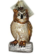 Wise Old Owl Old World Christmas Tree Ornament Glass Bird Nature Wildlife picture