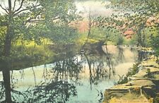 Walton NY New York VIEW ALONG DELAWARE RIVER Hand Colored Postcard 1900's  picture