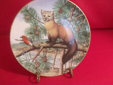 The Woodland Year American Marten November Plate picture