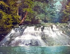 1900 Paradise Falls, Pocono Mountains, PA Vintage Photograph 8.5