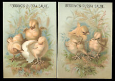 1879 ~ 2 MATCHING REDDING'S RUSSIA SALVE, CURE FOR ALL FOR HOMES or STABLES  Z33 picture