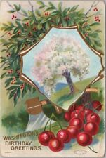 George Washington's Birthday Postcard Cherry Tree / Ax & Cherries - 1909 Cancel picture