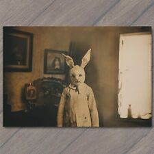 POSTCARD Rabbit Weird Creepy Vibe Easter Bunny Scary Mask Cult Strange Unusual picture