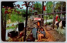 Alabama AL - Moonshine Still Bankhead - National Forest - Vintage Postcard picture