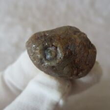 1079  11g  Natural Gobi Eyes view Agate Suiseki Rocks Stone Minerals Specimen picture