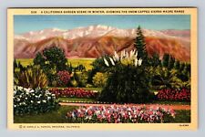 CA-California, Garden Scene In Winter, Antique, Vintage Postcard picture