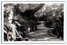 c1940's Fern Dell Griffith Park Bob Plunkett Hollywood CA RPPC Photo Postcard picture