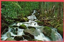 Beautiful Mountain Stream - The Great Smoky Mountains National Park Postcard picture