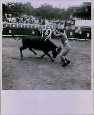 LG867 1954 Orig Hamilton Wright Photo SPANISH STYLE BULLFIGHTING Charging Animal picture