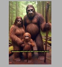 BIGFOOT Family PHOTO Big Foot Forest Sasquatch Great Sasquatch Pic 4x6 picture