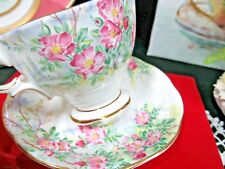 Royal Albert tea cup and saucer Wild Rose pattern teacup floral lakeside scene picture