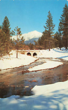 Postcard Strawberry Creek in Winter Idyllwild California Vintage Posted picture