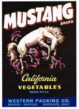 ORIGINAL COWBOY MUSTANG BUCKING HORSE VINTAGE CRATE LABEL C1950 CALIFORNIA RODEO picture