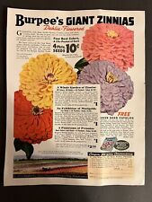Vtg 1939 Burpee's Giant Zinnias, Dahlia-Flowered Seeds Ad, 4 pkts for 10 cents picture