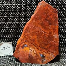 Stunning RARE, Rooster Tail Agate, Incredible Red/Orange Colors and Design, Mex picture