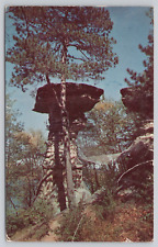 Post Card Stand Rock Wisconsin Dells G120 picture