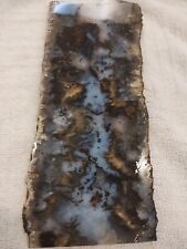 Long (7 3/4in) Plume Agate Slab, Graveyard Point (Must See: Truly Amazing slab) picture