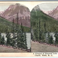 c1900s Field, British Columbia Stereo Card Emerald Lake Mt. Wapta Lith Photo V11 picture