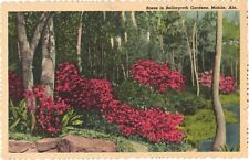 Beautiful Red Flowers, Scene in Bellingrath Gardens, Mobile, Alabama Postcard picture
