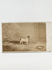 Rare Antique Victorian CDV Dog Portrait With Handwritten Provenance To Back picture