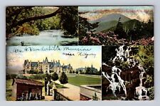 Asheville NC-North Carolina, Five Scenes, Typical, Vintage c1909 Postcard picture