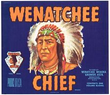 CRATE LABEL VINTAGE NATIVE AMERICAN INDIAN ARROWHEAD CHIEF WENATCHEE C1930S picture