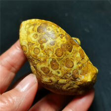 Rare 127G China Natural Inner Mongolia Gobi Eye Agate Geode Collection  WYY2121 picture